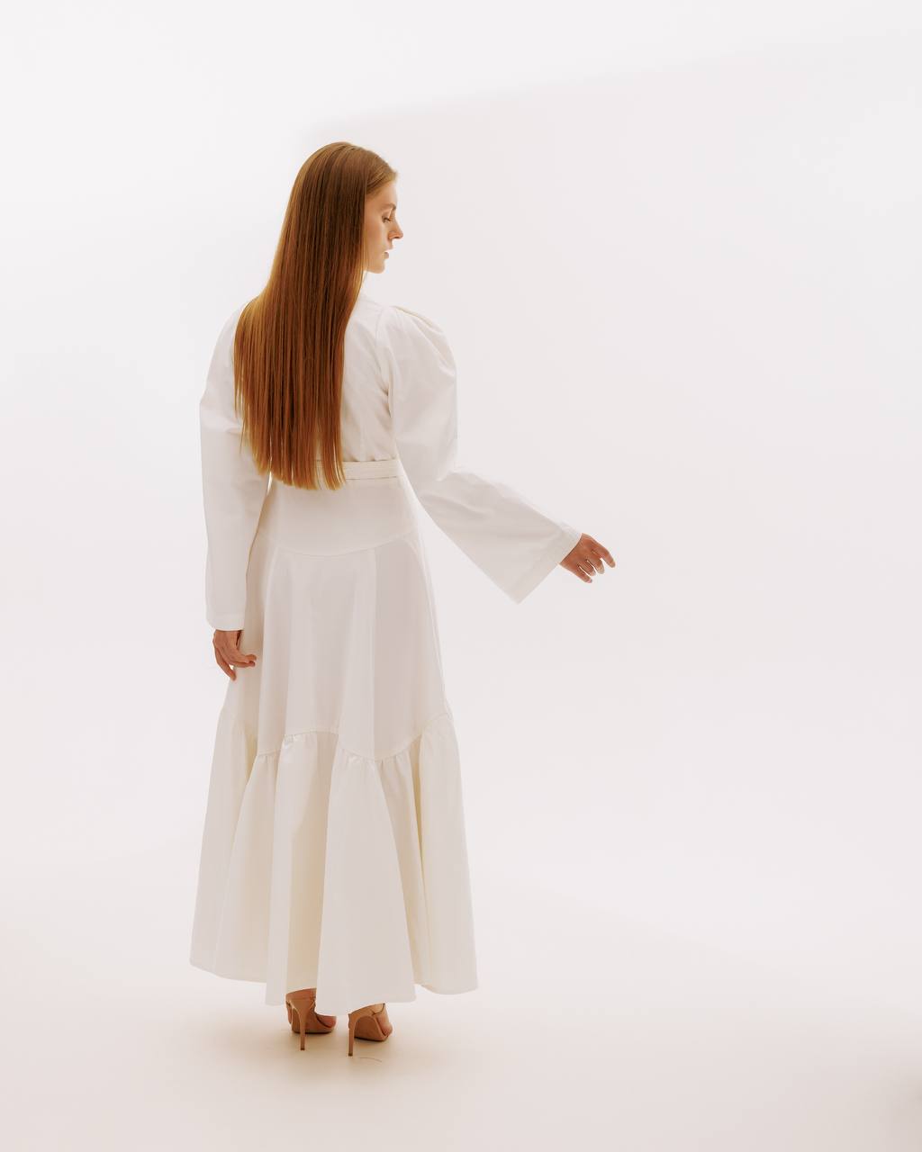 Swan — view 2